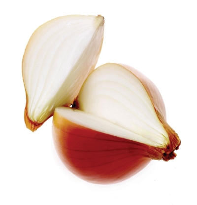 Picture of Onion Santero F1